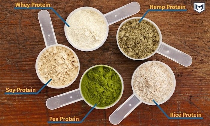 muscle gain protein powder